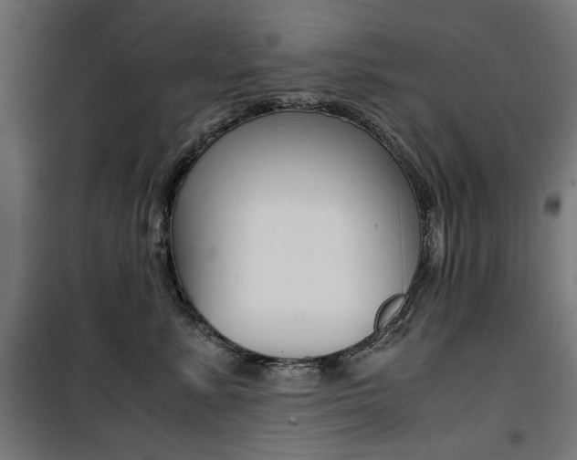X0000100880619200806201148