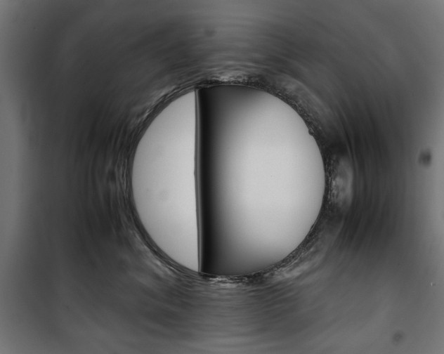 X0000100880620200806201148