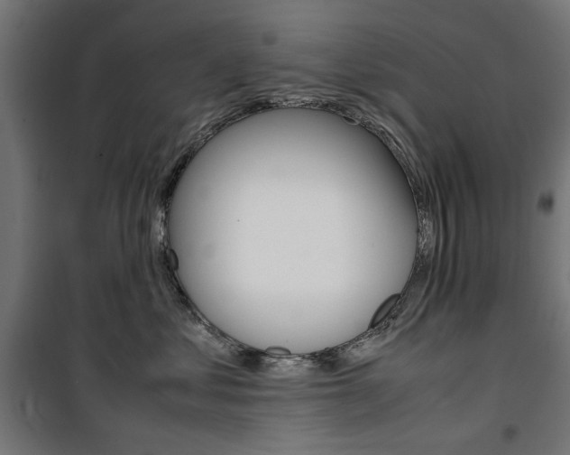 X0000100880621200806201148
