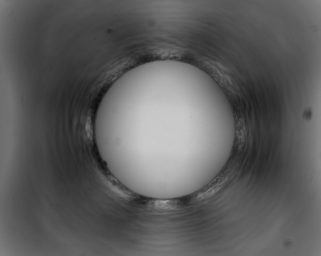X0000100880622200806201148