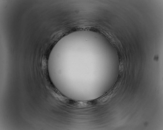X0000100880623200806201148