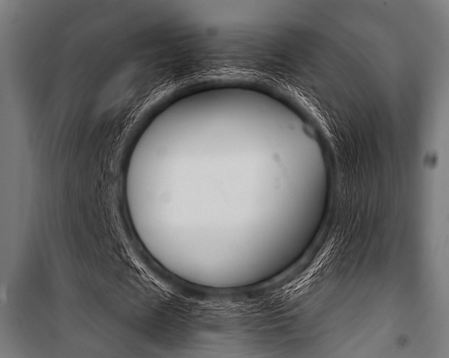 X0000100880625200806201147