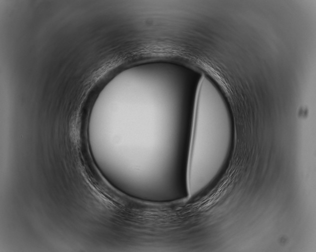 X0000100880627200806201147