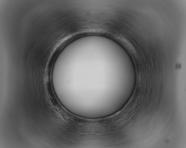 X0000100880628200806201147