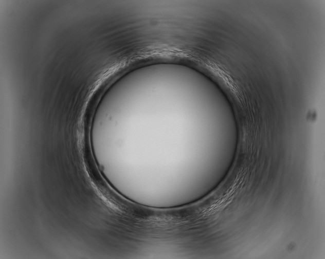 X0000100880630200806201147