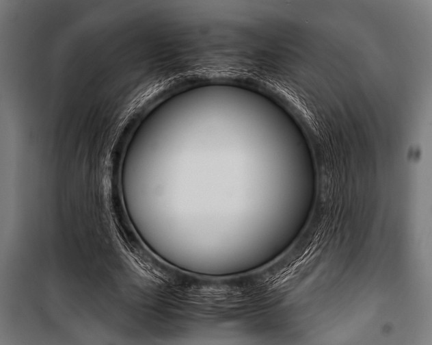 X0000100880631200806201147