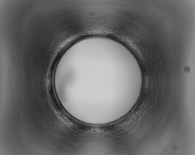 X0000100880632200806201147