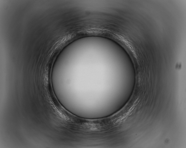 X0000100880633200806201147