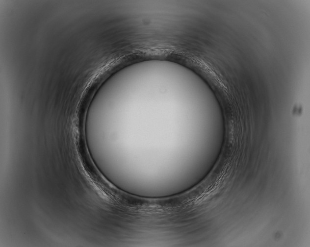 X0000100880634200806201147