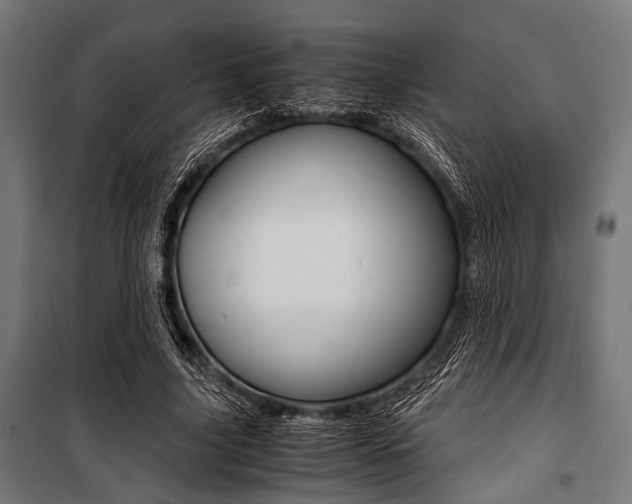 X0000100880635200806201147