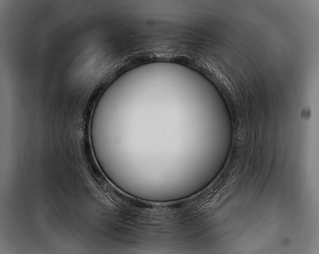 X0000100880639200806201147