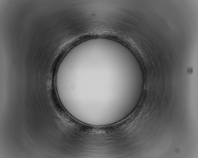 X0000100880640200806201147