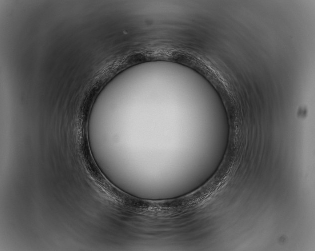 X0000100880641200806201147