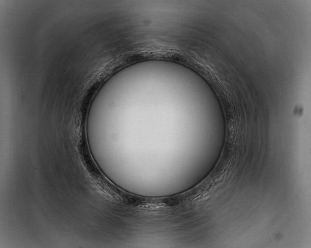 X0000100880642200806201148