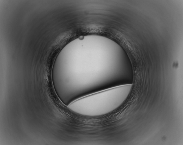 X0000100880643200806201148