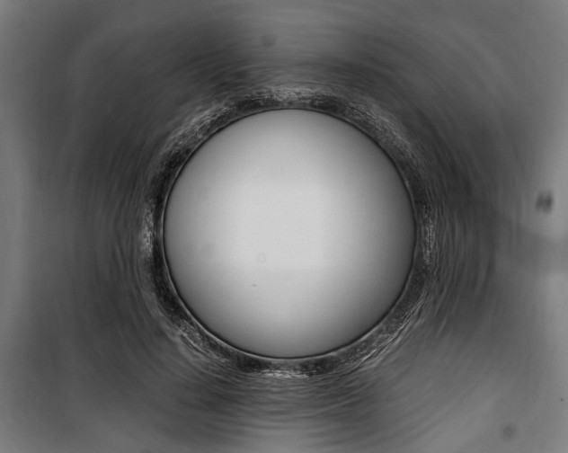 X0000100880644200806201148
