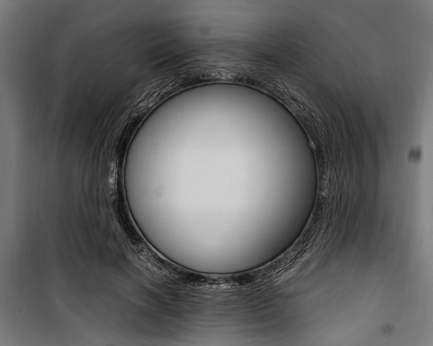 X0000100880646200806201148