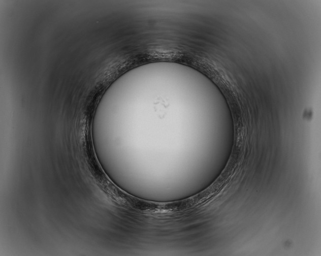X0000100880647200806201148