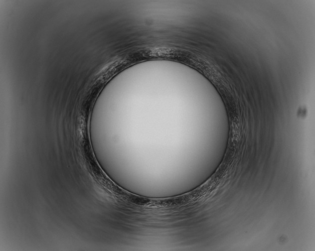 X0000100880648200806201148