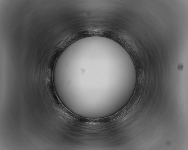 X0000100880649200806201148