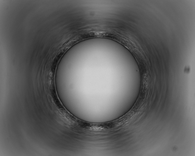X0000100880650200806201148