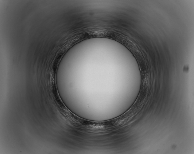 X0000100880651200806201148