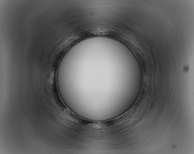X0000100880652200806201148