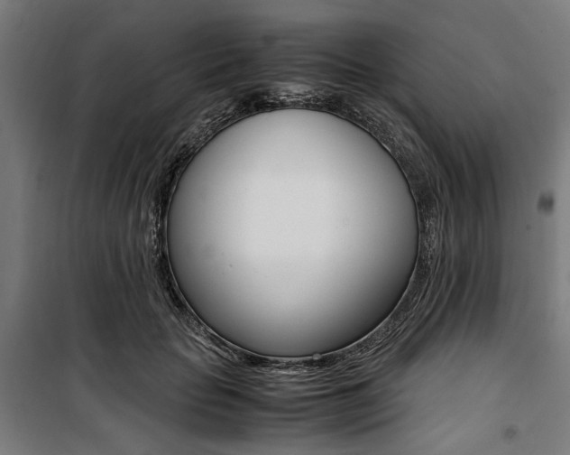 X0000100880653200806201148