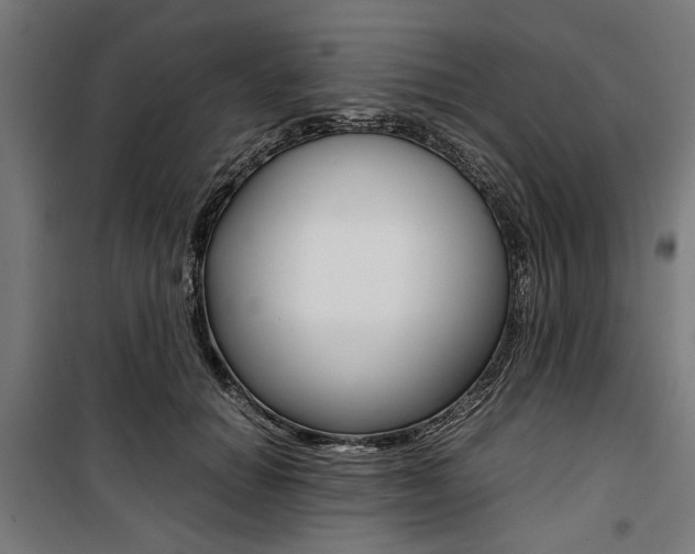 X0000100880654200806201148