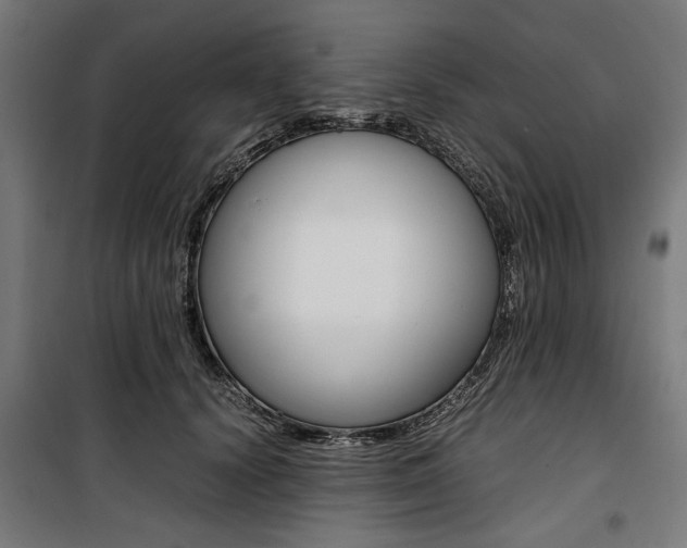 X0000100880656200806201148