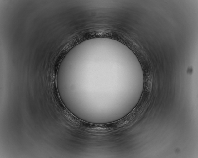X0000100880657200806201148