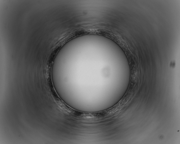 X0000100880658200806201148