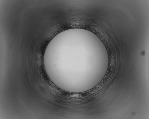X0000100880659200806201148