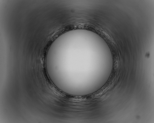 X0000100880661200806201148