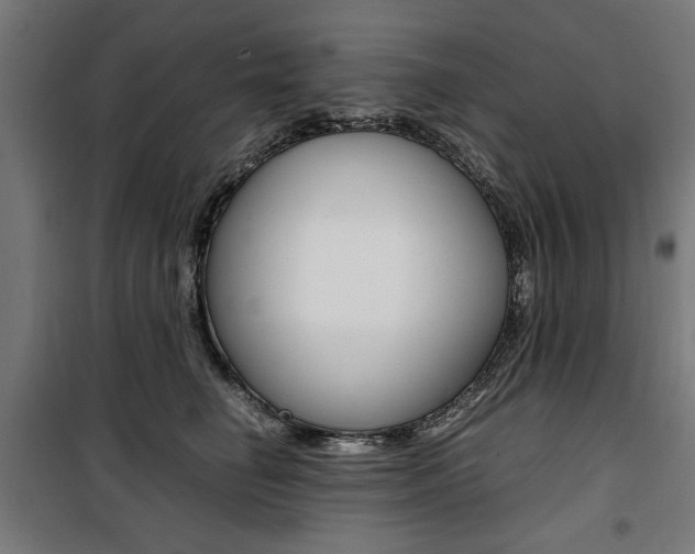 X0000100880662200806201148