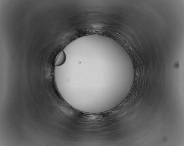 X0000100880663200806201148