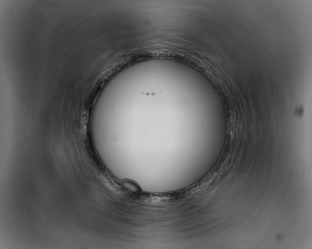 X0000100880664200806201148