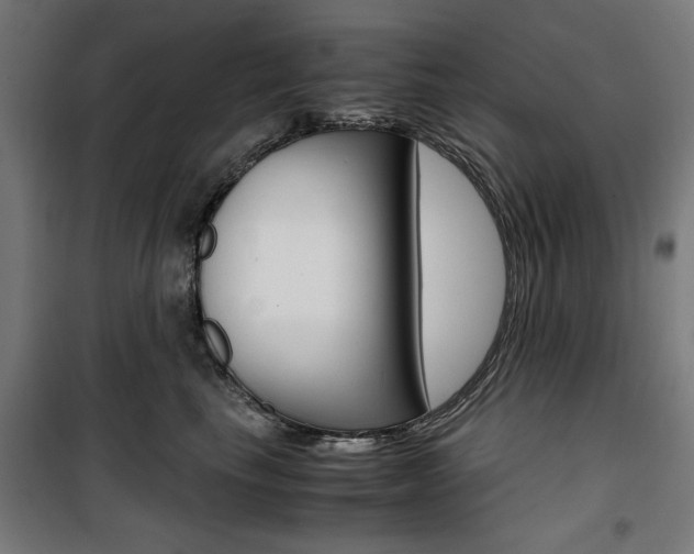 X0000100880665200806201148