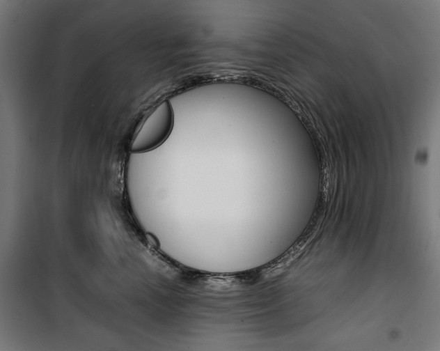X0000100880666200806201148