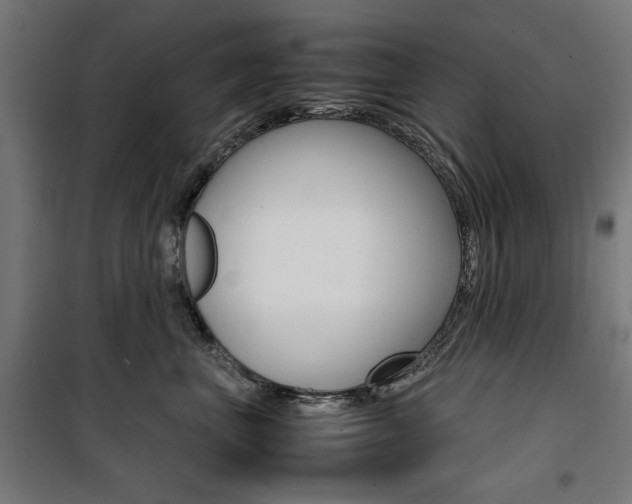 X0000100880667200806201148