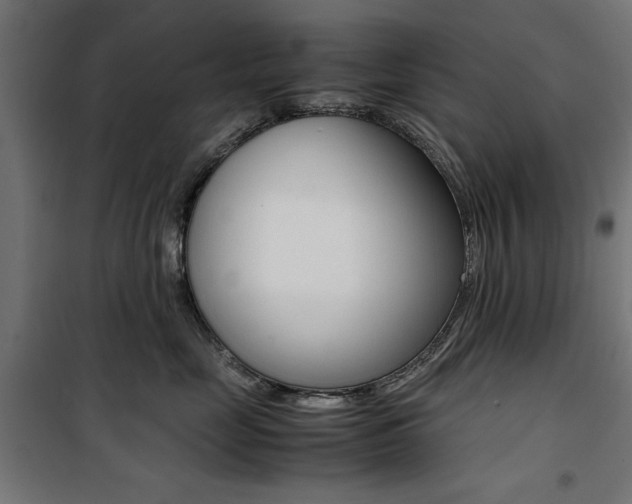 X0000100880669200806201148