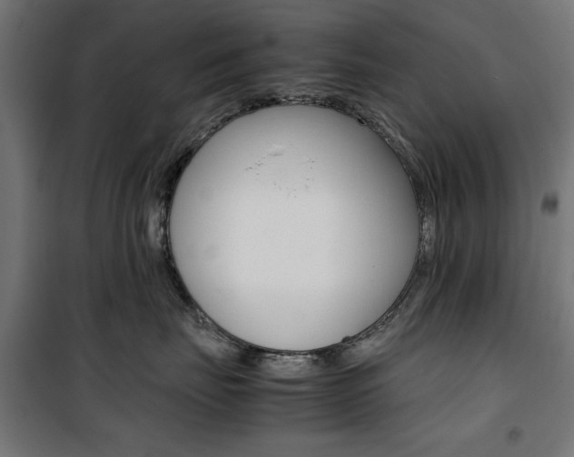 X0000100880671200806201148