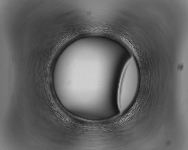 X0000100880673200806201147
