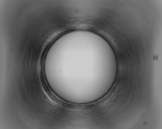 X0000100880674200806201147