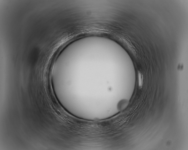X0000100880675200806201147