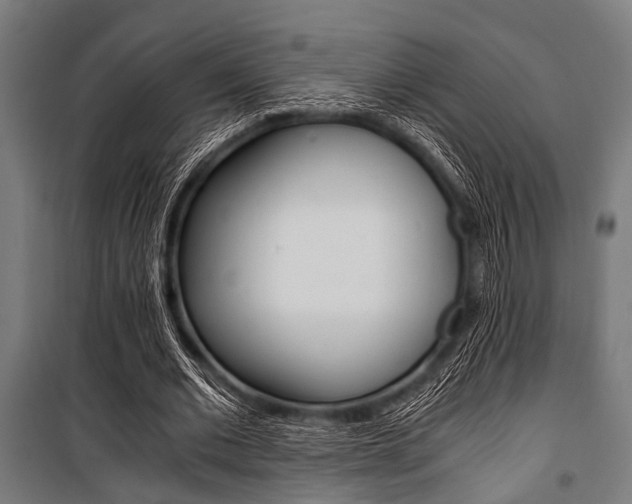 X0000100880677200806201147