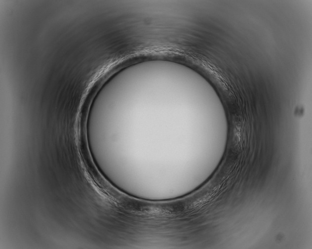 X0000100880678200806201147