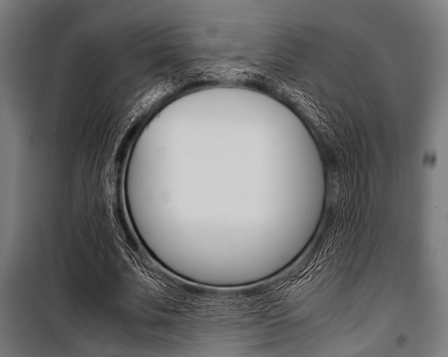 X0000100880679200806201147