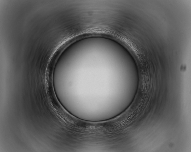 X0000100880680200806201147