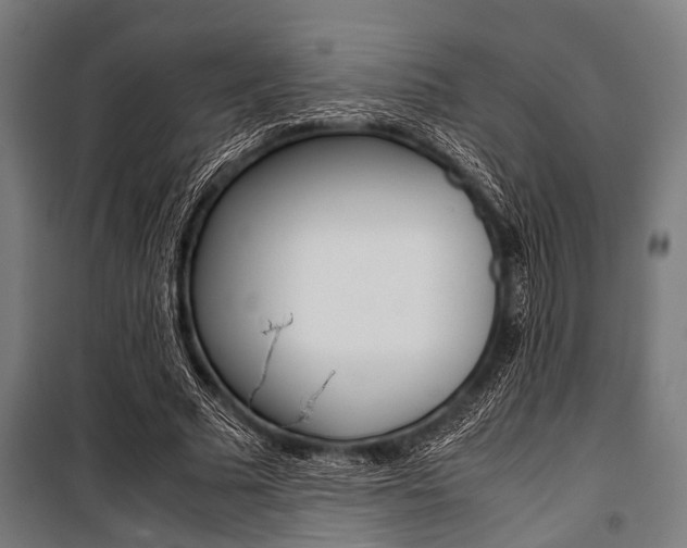 X0000100880681200806201147
